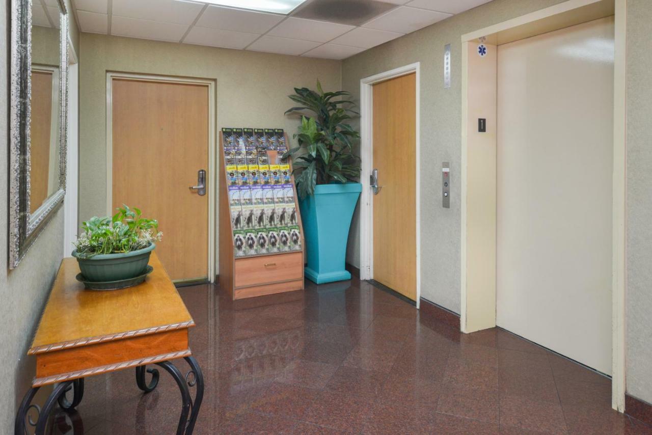 إنغليووود، لوس أنجليس، كاليفورنيا H3 Inn & Suites - Lax Airport - Los Angeles المظهر الخارجي الصورة